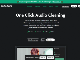 Audo AI:AI实用工具介绍,一键去除音频背景噪音,轻松提升录音清晰度