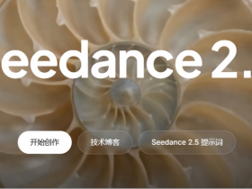 Seedance 2.5:目前国内最好用的可一次性生成30秒视频的AI模型介绍