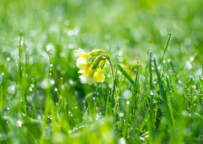 清明节国内旅游好去处推荐之浙江绍兴（适合两日游）