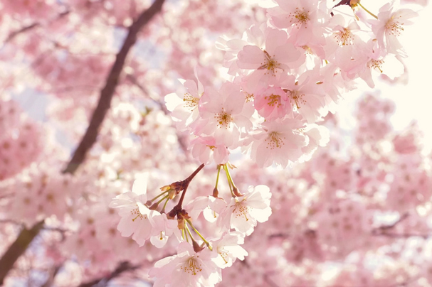 可以看见西湖的实惠型杭帮菜餐厅推荐