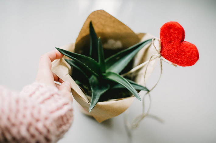 你是否知道每个月14号都是情人节？（每月14号情人节含义与主题）