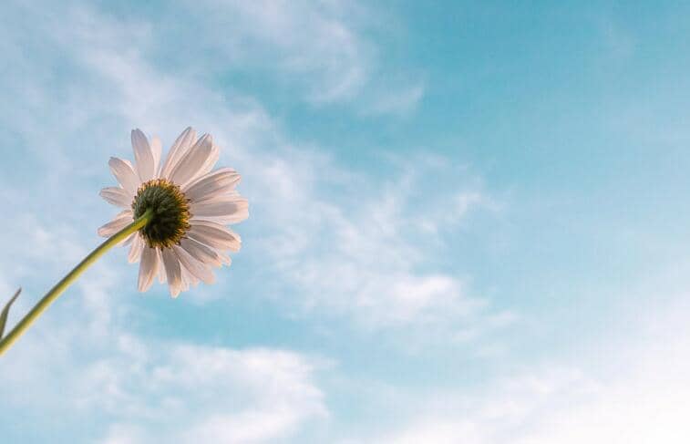 北京冬奥会24节气诗词整理（中国文化博大精深）